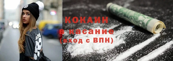 винт Каменка