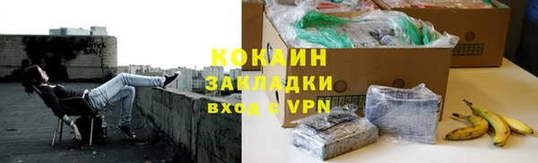 винт Каменка