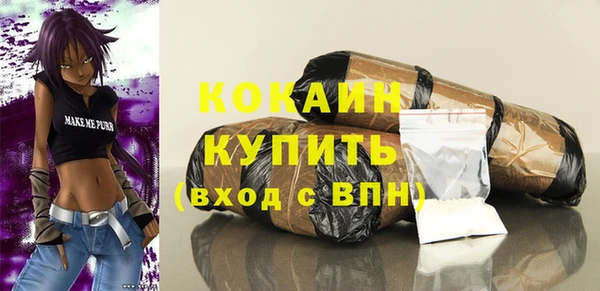 винт Каменка