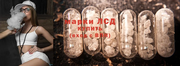 винт Каменка
